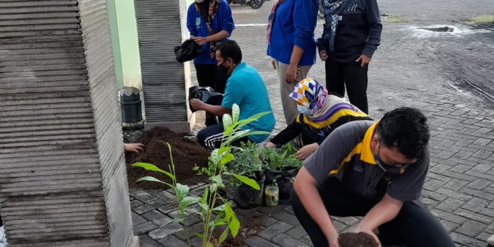 Tanam Cabai, Pegawai Bappeda Litbang Laksanakan Surat Edaran Walikota